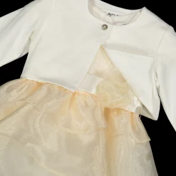 Abito elegante da bambina in organza