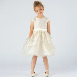 Abito elegante in organza da bambina
