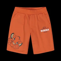 Bermuda re leone bambino