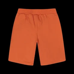 Bermuda re leone bambino