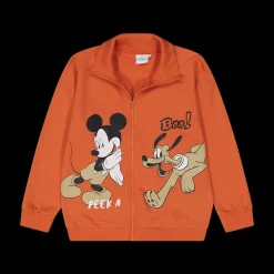 Felpa da bambino con stampa Disney