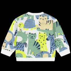 Maglia girocollo felpa effetto malfilè stampata bambino