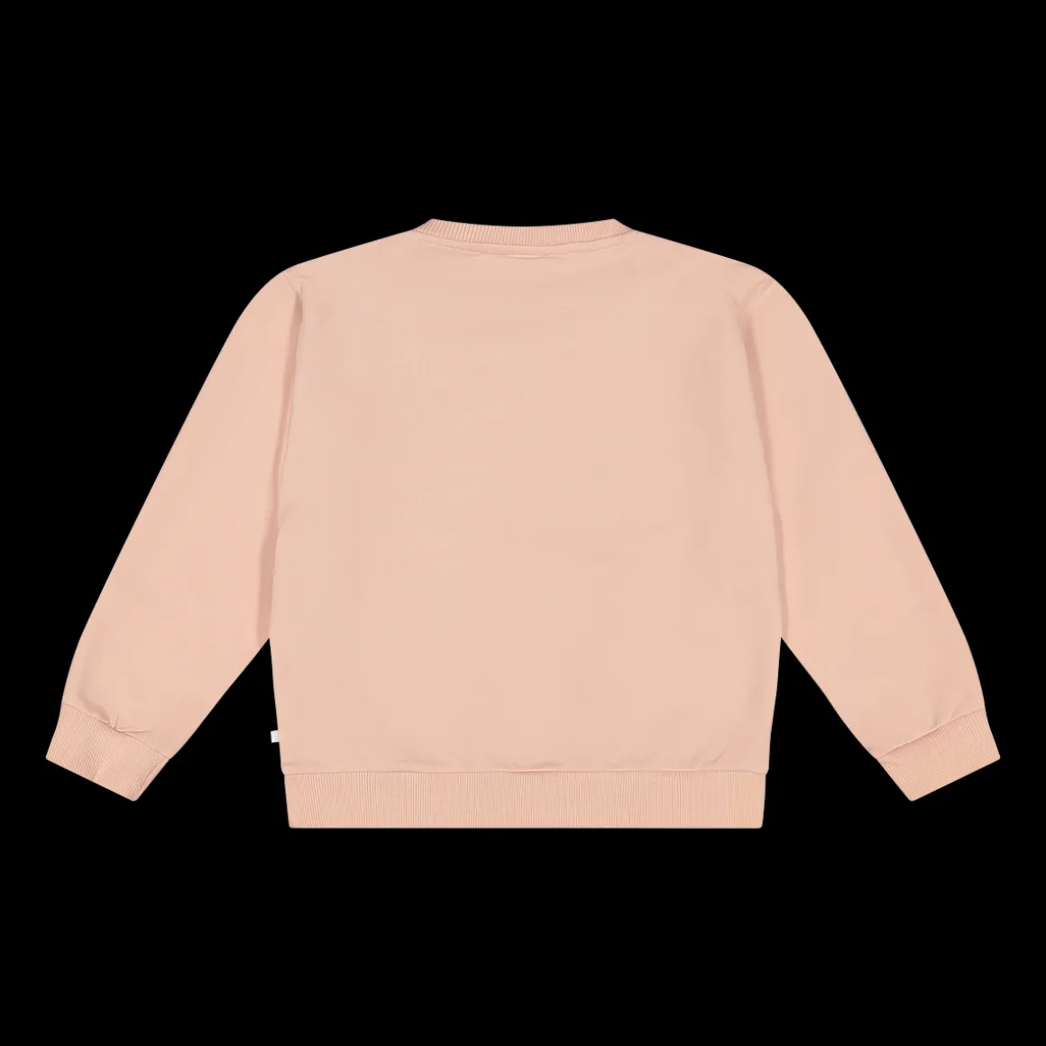 Maglia principesse Disney a maniche lunghe per bambina