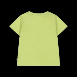 T-shirt con tenera stampa dinosauri per neonato