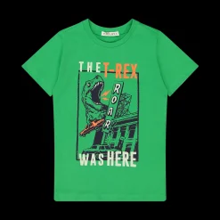 T-shirt da bambino con stampa Dinosauri